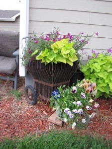 container gardening