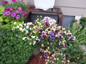 container gardening