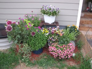 container gardening