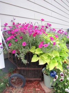 container gardening