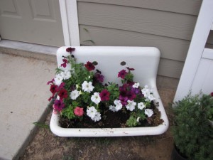 container gardening