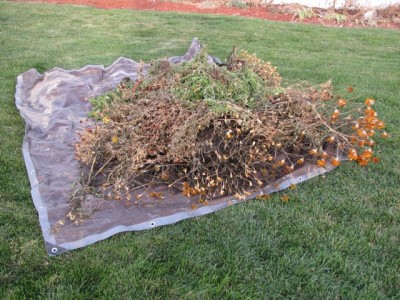 Easy Gardening Tips - Tarp Hauling - Cool Garden Ideas